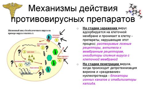 Правила принятия Ремантадина и Ингавирина одновременно