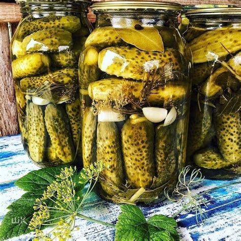 Правила употребления маринованных огурцов