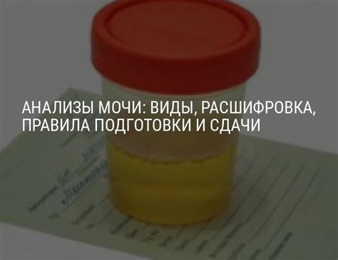 Правила хранения мочи до сдачи при приеме Фурадонина