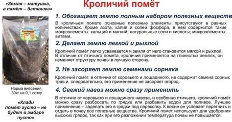 Правила хранения навоза на личном участке