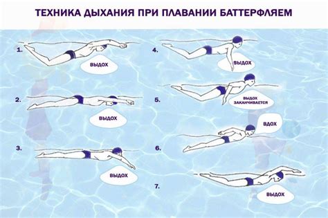 Правильная техника плавания