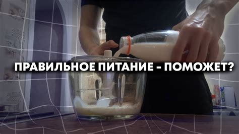 Правильное питание приведет вашего терьера к идеальному весу