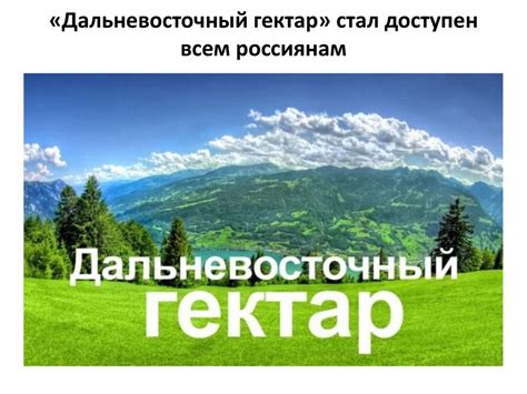 Правовые аспекты аренды дальневосточного гектара