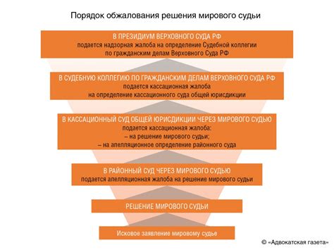 Правовые основы обжалования решения мирового судьи