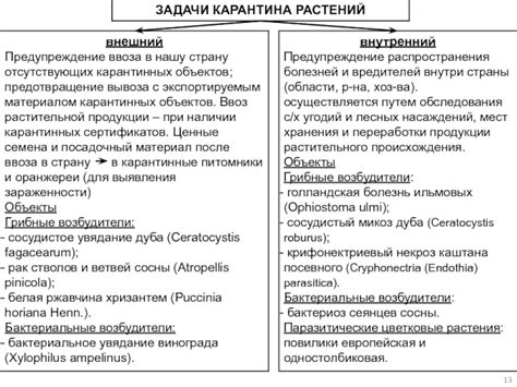 Предотвращение болезней и вредителей