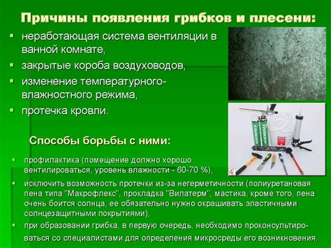 Предупреждение появления плесени и грибка