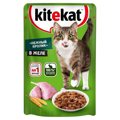 Преимущества влажных кормов для кошек