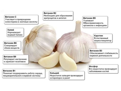 Преимущества и недостатки применения чеснока в качестве профилактического средства