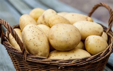 Преимущества картофеля в рационе ПП