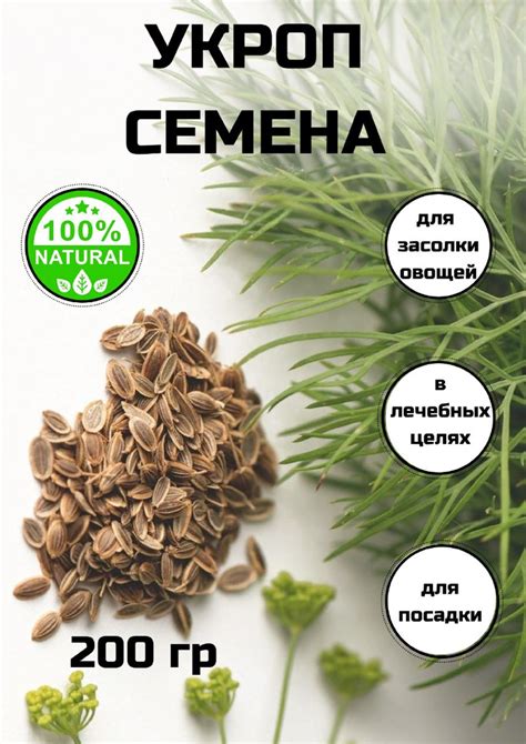 Преимущества сушеного укропа