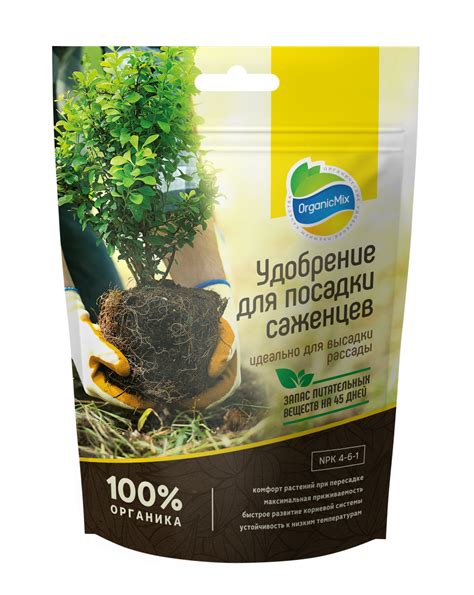 Приготовление саженцев для посадки