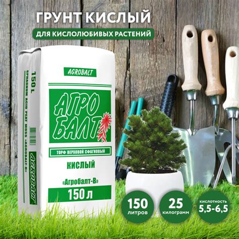 Примеры успешного применения верхового торфа для рассады растений