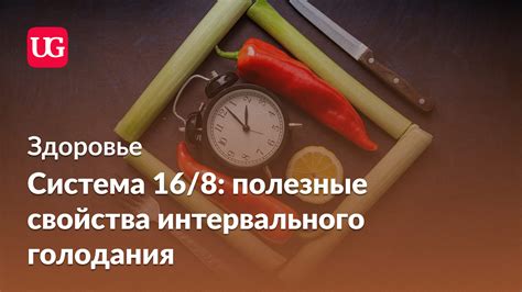 Принципы интервального голодания 16 8