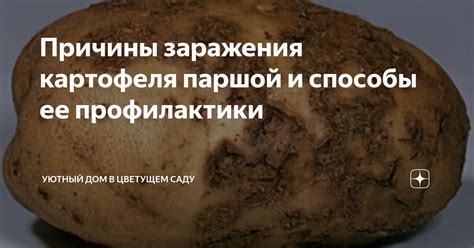 Причины заражения и способы профилактики