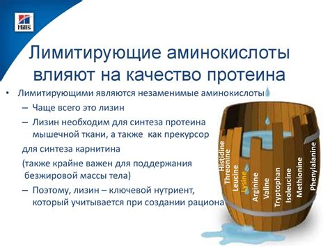Проблема низкокалорийного рациона