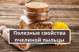 Проверка качества пчелиной пыльцы перед употреблением