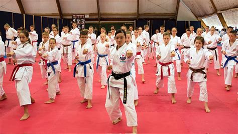 Проспекты включения каратэ киокушинкай в программу Олимпийских игр