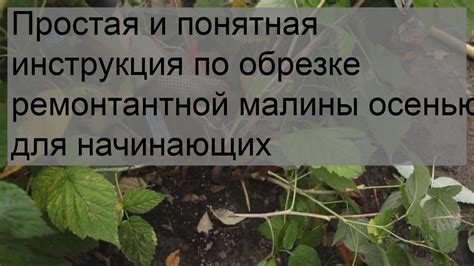 Простая и понятная инструкция