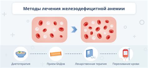 Профилактика железодефицитной анемии без риска лишнего веса