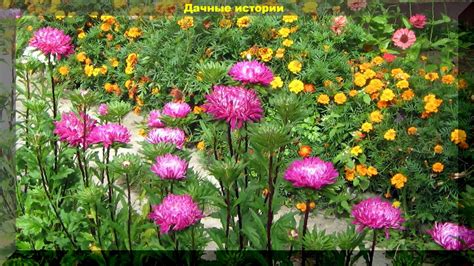Профилактика и контроль вредителей: борьба с возможными проблемами