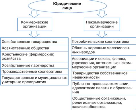Процесс создания новых юридических лиц ассоциацией