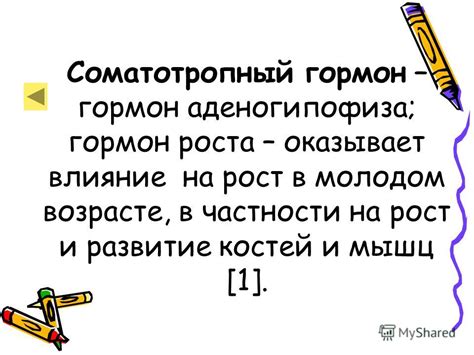 Развитие мышц в молодом возрасте