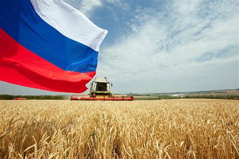 Развитие сельского хозяйства