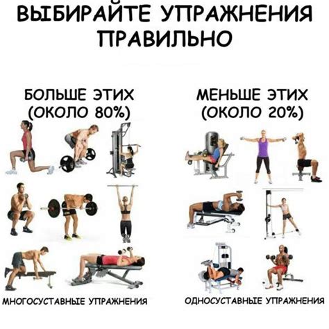Раздел 2: Влияние бега на набор массы тела
