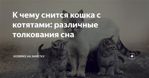 Различные толкования верующих