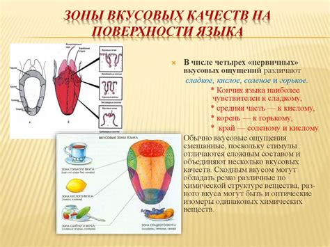 Разнообразие вкусовых качеств