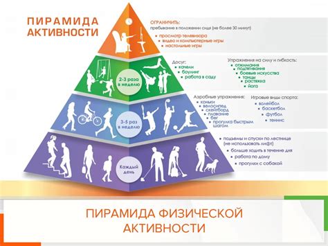 Разнообразие физической нагрузки