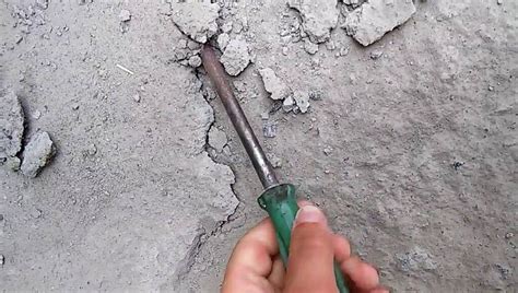 Разрушение дерева под воздействием бетона