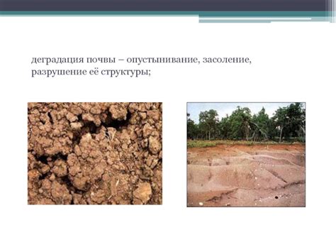 Разрушение структуры почвы
