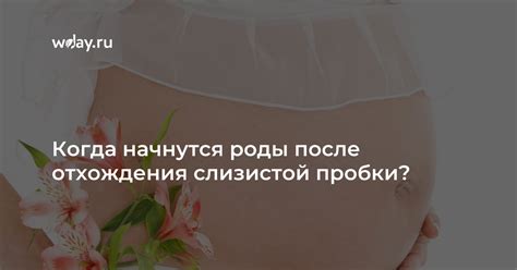 Распространенные мнения и мифы о занятии любовью после отхождения пробки