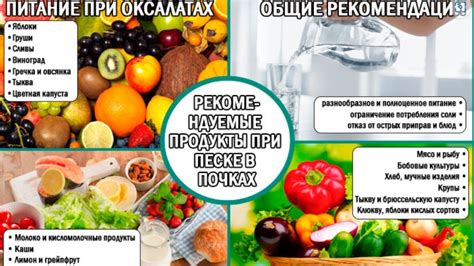 Рацион и диета: важные аспекты проблемы