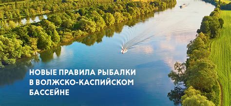 Регуляция рыболовства