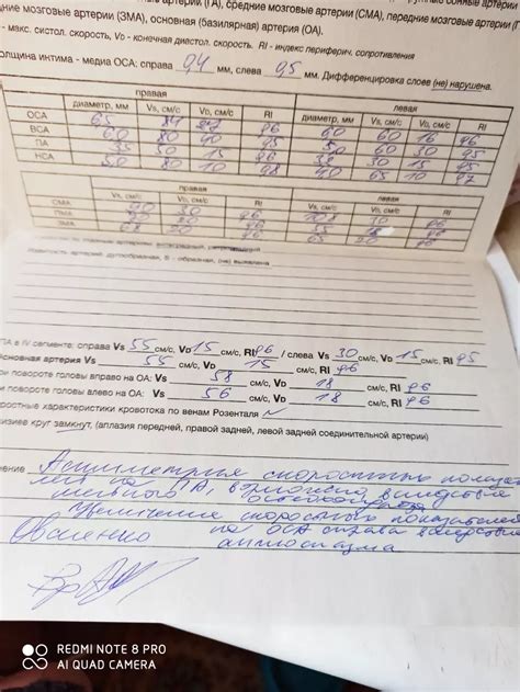 Результаты исследований о воздержании перед зачатием
