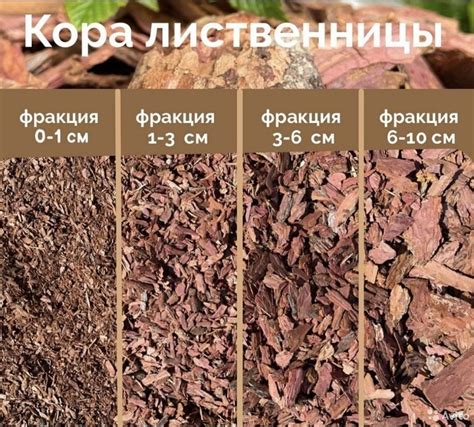 Рекомендации по использованию мульчи из коры для предотвращения роста сорняков
