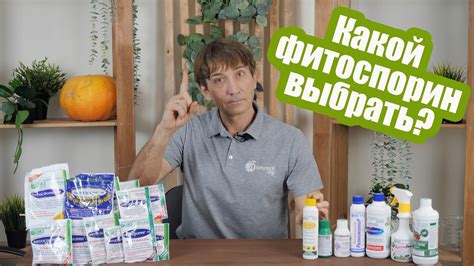 Рекомендации по использованию фитоспорина в солнечную погоду