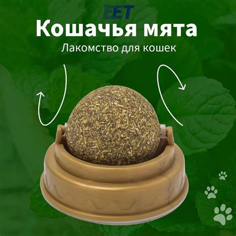 Рекомендации по применению кошачьей мяты для сна кота