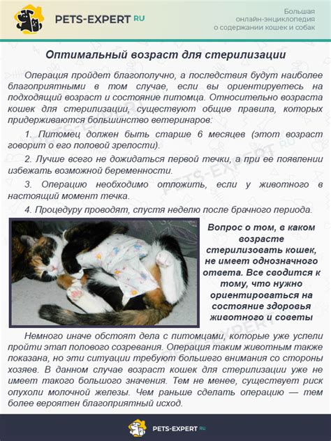 Рекомендуемый возраст для стерилизации