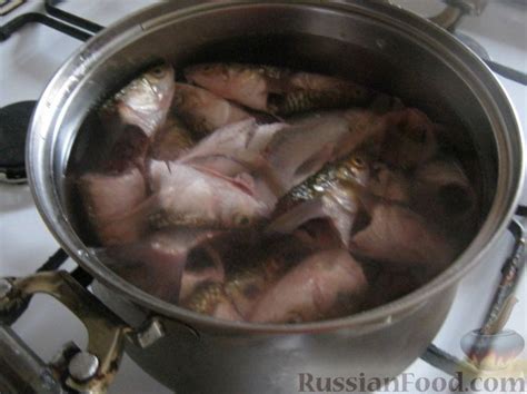 Риски сырых рыбьих голов для кошек