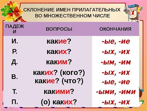 Род прилагательных во множественном числе