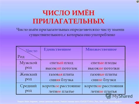Род прилагательных после числительных во множественном числе