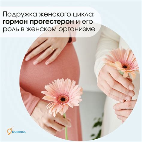 Роль прогестерона в женском организме