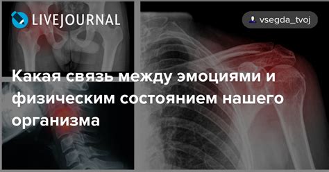 Связь между памятью и физическим состоянием