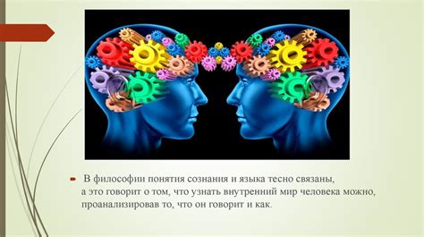 Связь между языком и развитием культурной и образовательной сферы