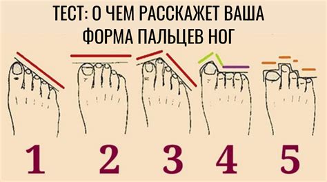 Связь формы пальцев на ногах и выбранным видом спорта