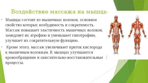 Силовое воздействие на мышцы