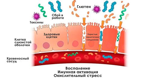 Симптомы и лечение, если все же заразились